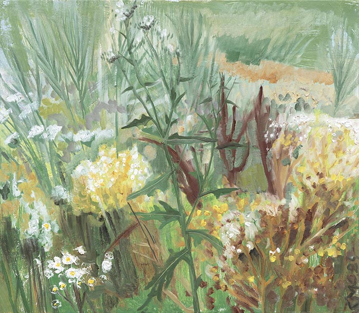 Rozmanitost plevelu, 70 × 80 cm, olej na plátně, 2024