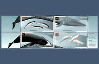 Čtyřblok poštovních známek Kanady z roku 2000 - Velryby 