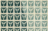 So-called preproduction maculature of a 1918 newspaper stamp - issue Falcon in Flight 